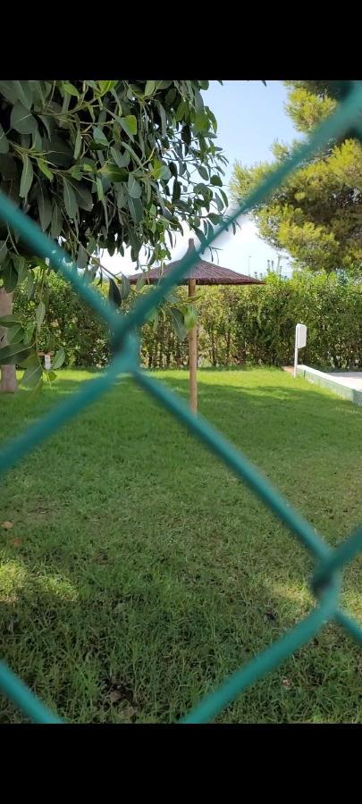 Apartamento Bajo Con Terraza Y Piscina Torrevieja Bagian luar foto